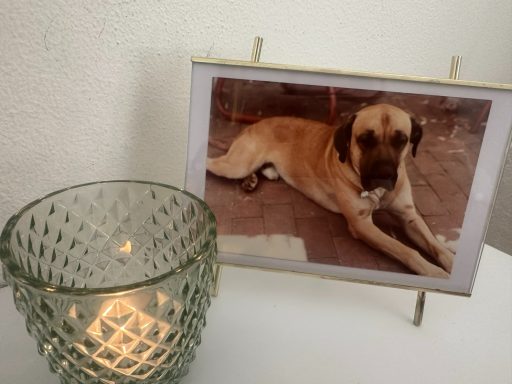 Wie alles anfing...